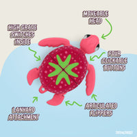 Thumbnail for Turtle Fidget Toy, Articulating Design with Shell Clickers, Pocket-Sized & Durable, Stress Relief, ADHD, Autism & Stim (Green-Orange)